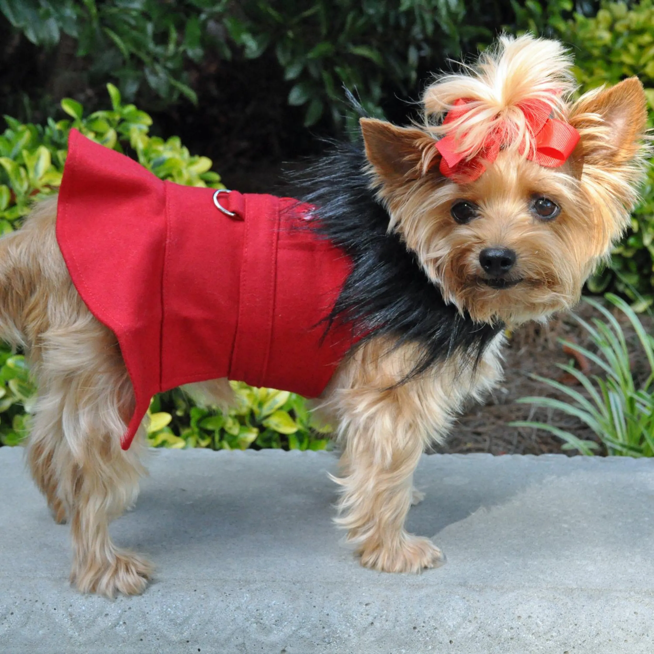 Designer Coat | Fancy Red Wool