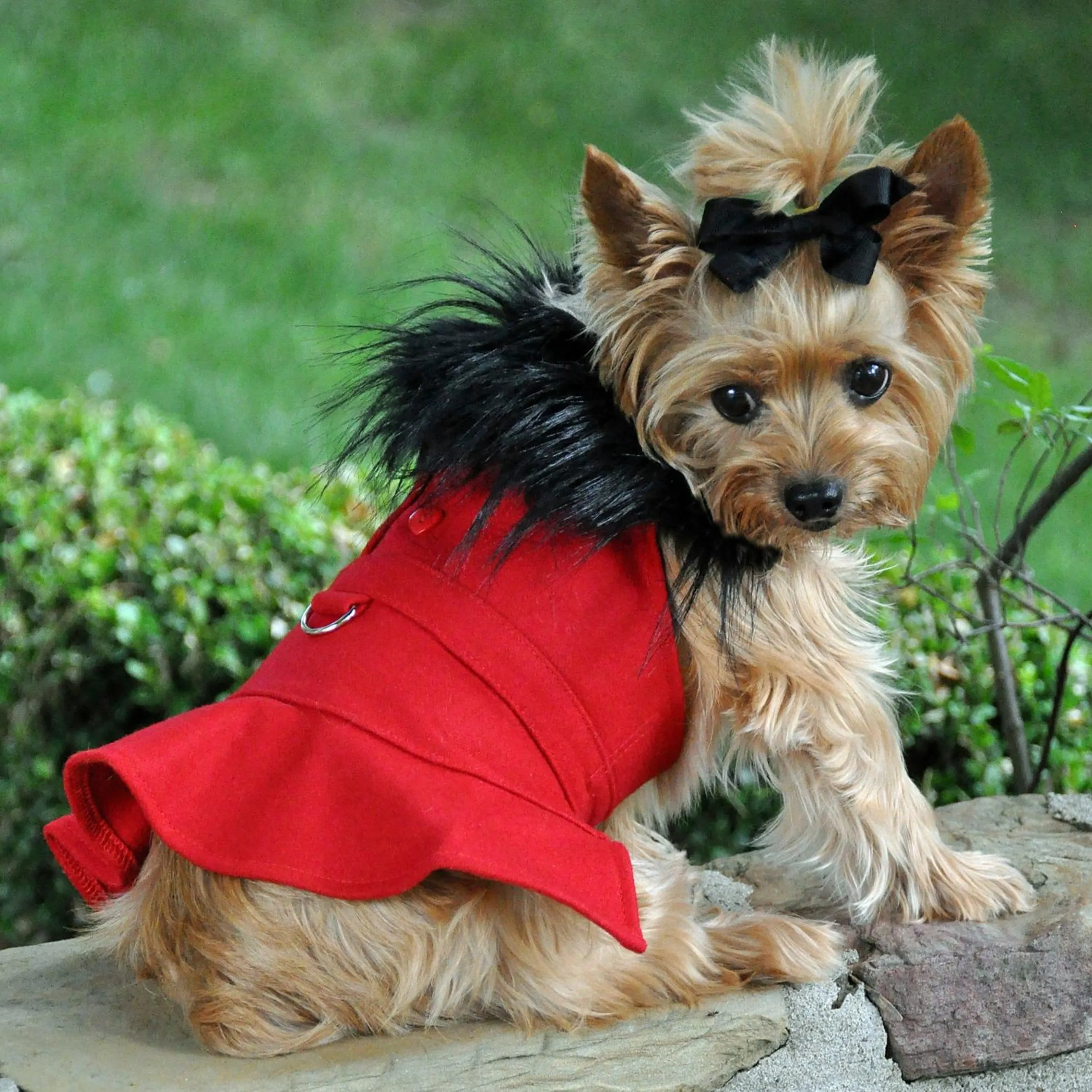 Designer Coat | Fancy Red Wool