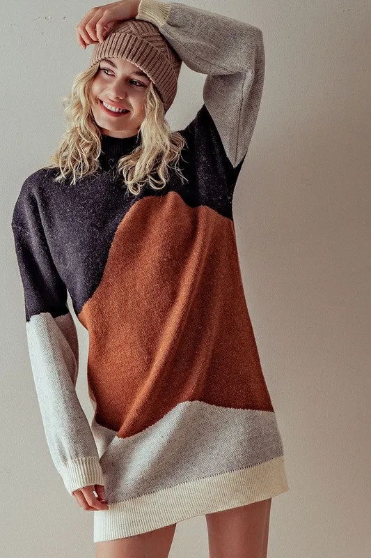 Heavy Knit ColorBlock Sweater Dress