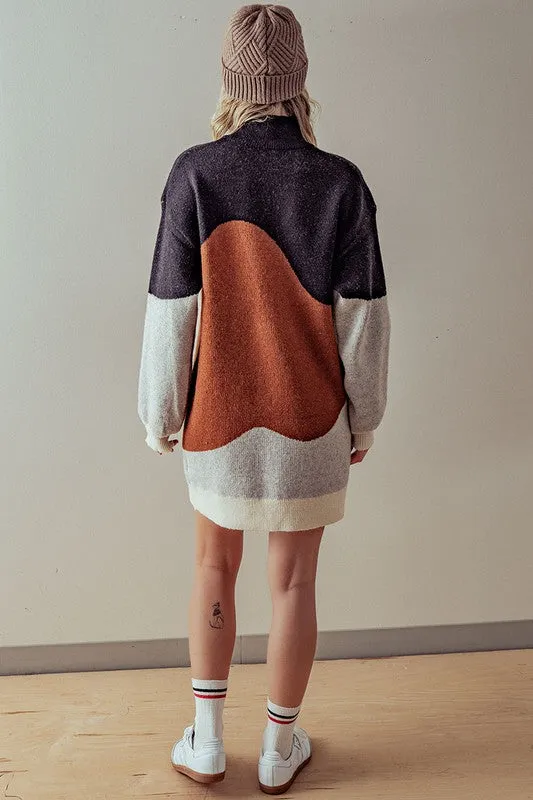 Heavy Knit ColorBlock Sweater Dress