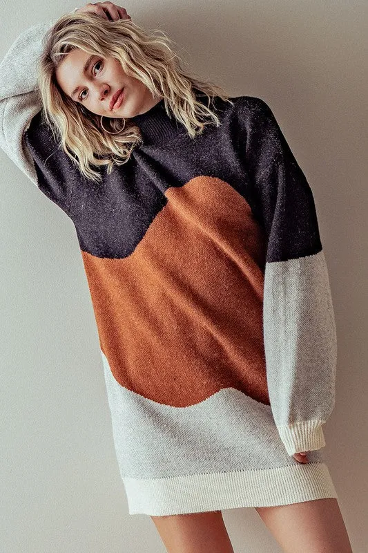Heavy Knit ColorBlock Sweater Dress