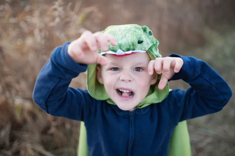 T-Rex Hooded Cape by Great Pretender Size 4-5 Dinosaur toy 3yrs 